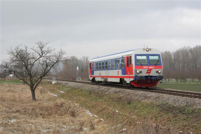 IMG_5092 (Small).JPG