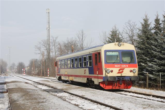 IMG_5288 (Small).JPG