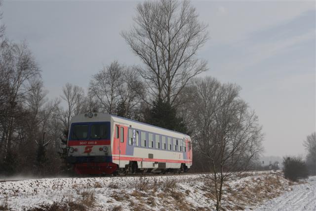 IMG_5283 (Small).JPG