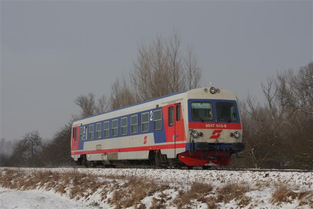 IMG_5282 (Small).JPG