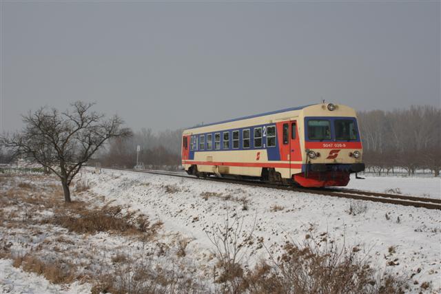 IMG_5276 (Small).JPG