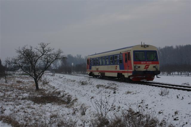 IMG_5260 (Small).JPG