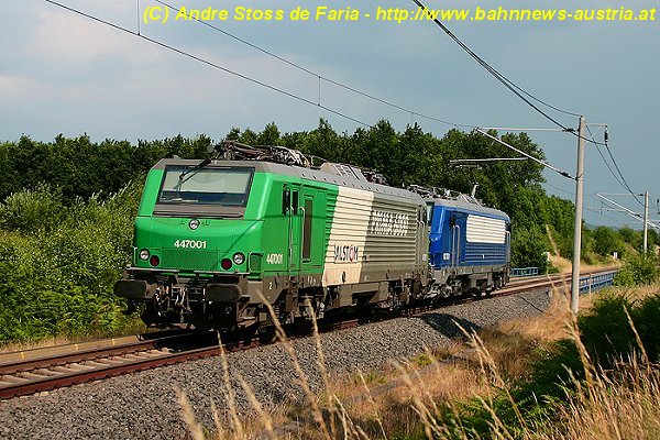 447001.jpg